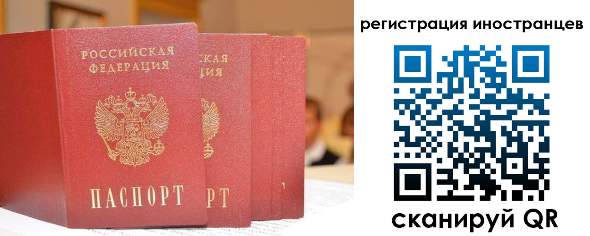 где прописаться в Сланцах